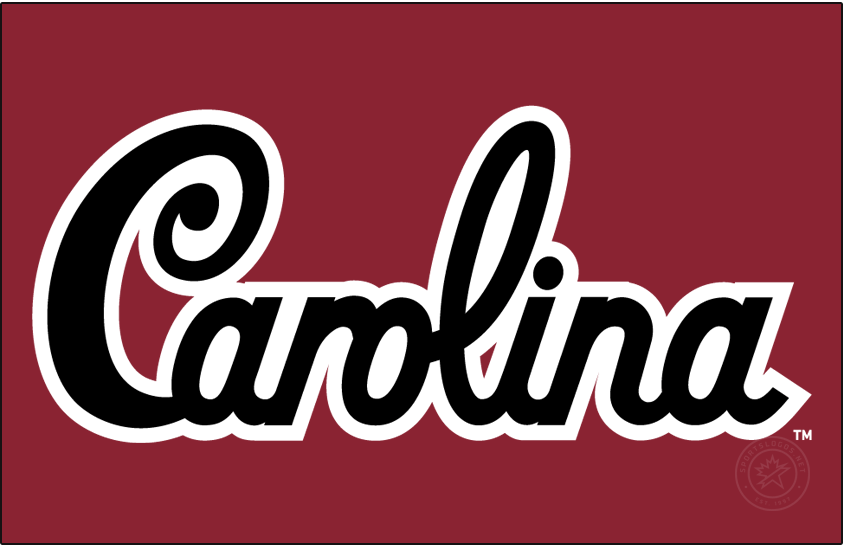 South Carolina Gamecocks 2018-Pres Wordmark Logo diy iron on heat transfer...